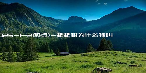 (2025-1-21热点)-耙耙柑为什么被叫做最善良的水果 超越砂糖橘成顶流